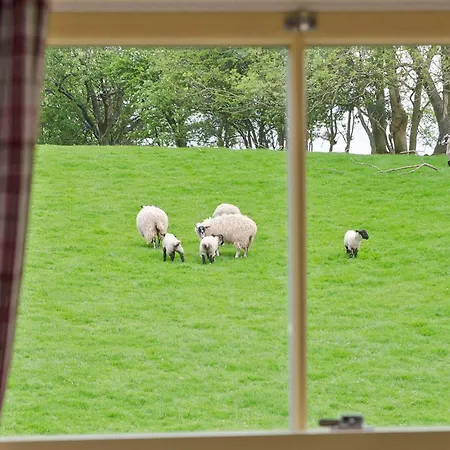 Spring Cottage-ukc6557 Holiday home Natland