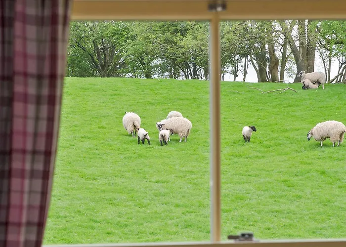 Spring Cottage-ukc6557 Holiday home Natland